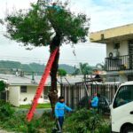 Municipio de Guayaquil y vecinos rehabilitan 15 espacios públicos en Urdesa Central