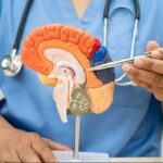 Omni Hospital promueve conciencia sobre la salud cerebral y la prevención del ICTUS con enfoque preventivo, multidisciplinario y humano.