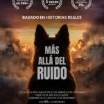 Iniciativa de Casa Pica visibiliza el impacto de la pirotecnia en las mascotas en fin de año