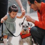 El acompañamiento emocional como parte esencial de la atención médica integral y la salud mental