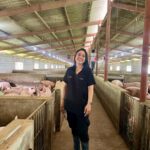 Ecuador conmemora el Día Nacional del consumo de cerdo y destaca su aporte a la nutrición y la economía