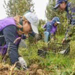 Corporación Favorita superará los 275.000 árboles sembrados para 2028