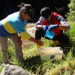 Estudio analiza la eficiencia de los sistemas de distribución de agua y alerta pérdidas de hasta el 30 % en redes urbanas