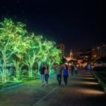 SolarTeam marca un hito ambiental: su generación solar equivale a la absorción de carbono de 25.000 árboles en Ecuador