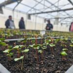 El compromiso de Epson con el medio ambiente