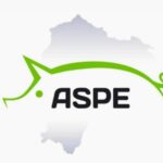 Tecnificación, eficiencia y crecimiento: los ejes que propone PORK+593 para la porcicultura ecuatoriana