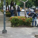 ¡Un barrio sin roedores es tarea de todos! Sigue estas recomendaciones del Municipio de Guayaquil