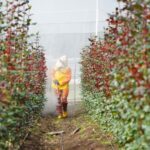 Proteger al agricultor: una urgencia que se siente en la piel del campo ecuatoriano