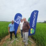 Innovación en el campo: Productores ecuatorianos elevan la productividad arrocera con eficiencia tecnológica
