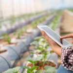 Agricultura Global en la Encrucijada: Cómo Generar Valor Sostenible en Tiempos de Cambios