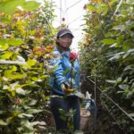 Las PYME crecen junto al financiamiento de BanEcuador