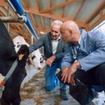 El 75 % de las enfermedades infecciosas emergentes son zoonóticas