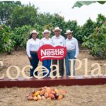 En el Día Mundial del Cacao, Nestlé destaca el legado construido por Plan Cacao junto a productores, mujeres y jóvenes