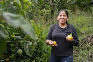Daniel Noboa fortalece al sector productivo con USD 109 millones en financiamiento a través Crédito 7×7 de BanEcuador