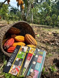 Paccari, primera empresa ecuatoriana reconocida entre las marcas de chocolate más éticas del mundo, según ranking del Reino Unido