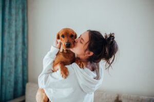 Antes de adoptar: ¿estás listo para un perro cachorro, adulto o senior?