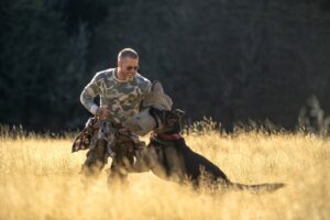 Brad Pitt y su perro de combate enfrentan su mayor desafío en «El corazón de la bestia»