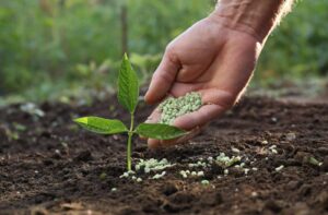 Nutrición eficiente y tecnología para fortalecer la producción agrícola en Ecuador