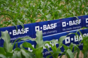 BASF Soluciones para la Agricultura anuncia nueva estructura organizacional con foco en el cliente y en los sistemas de cultivo